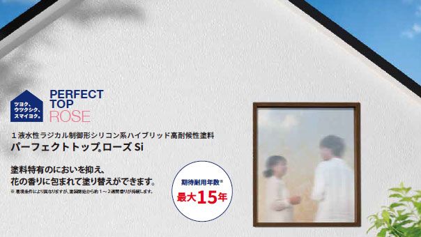 パーフェクトトップローズの特徴