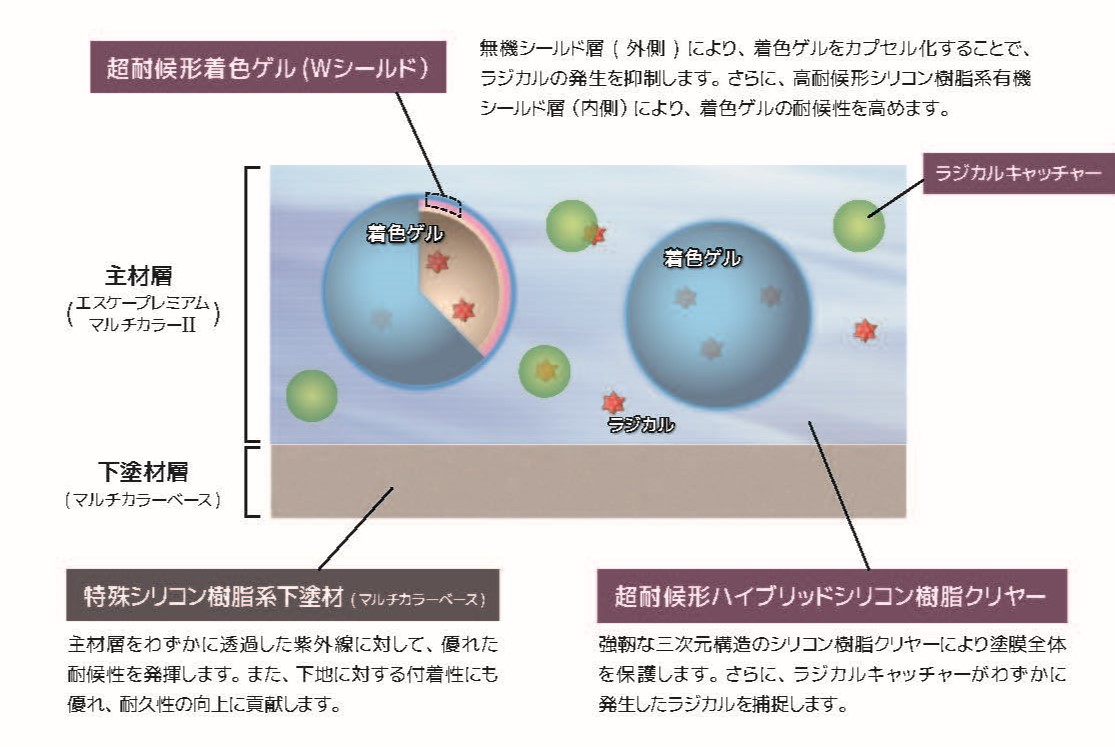 着色ゲル(Wシールド)図