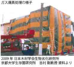 2009年 日本木材学会生物劣化研究所 京都大学生存圏研究所 吉村 剛教授 資料より