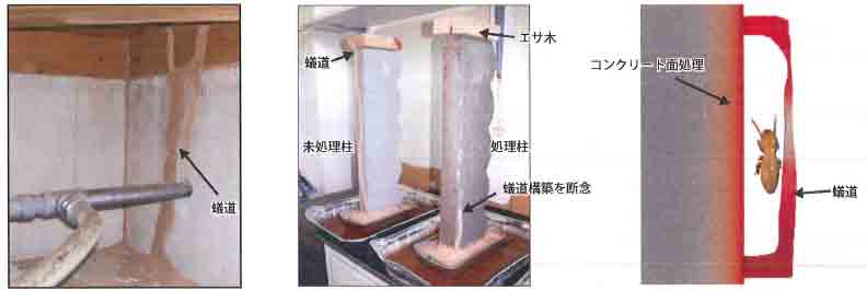 処理方法 写真
