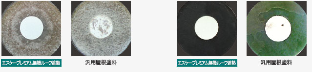 防かび性・防藻性の比較